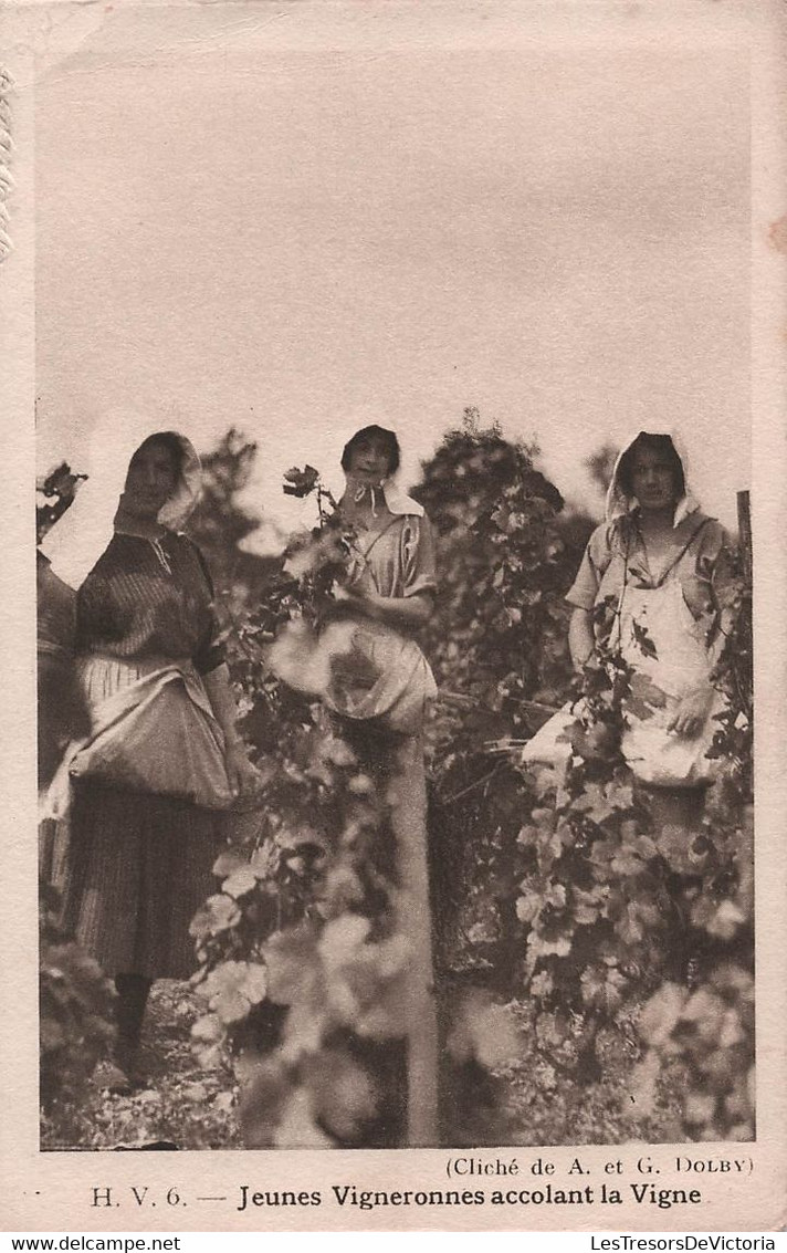 CPA  Jeunes Vigneronnes Accolant La Vigne - Vigne - - Bauern