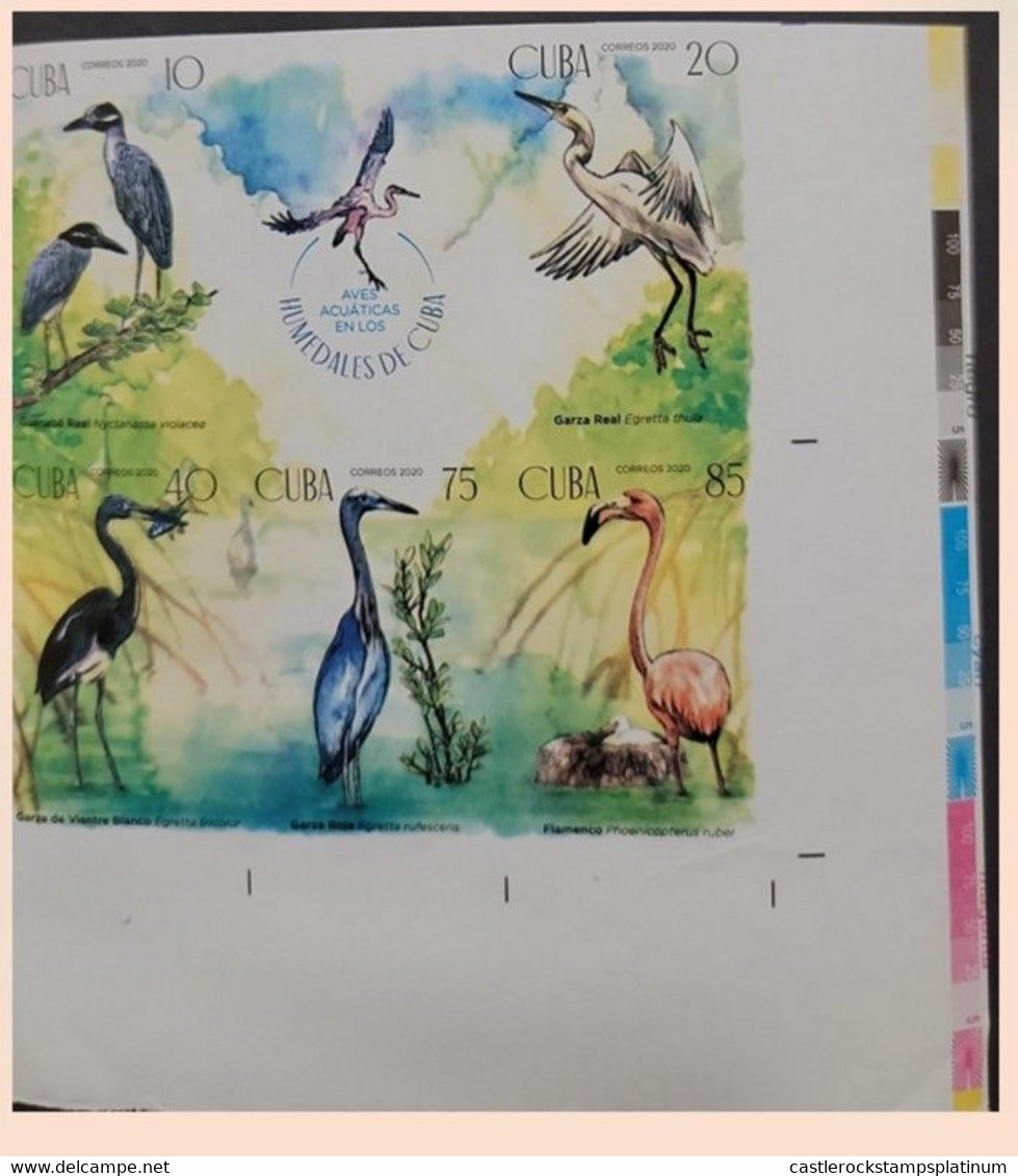 O) 2020 CUBA,  IMPERFORATE, AQUATIC BIRDS, HABITAT, WETLANDS, FISH,, NYCTANASSA VIOLACEA, EGRETTA THULA, EGRETTA TRICOLO - Imperforates, Proofs & Errors