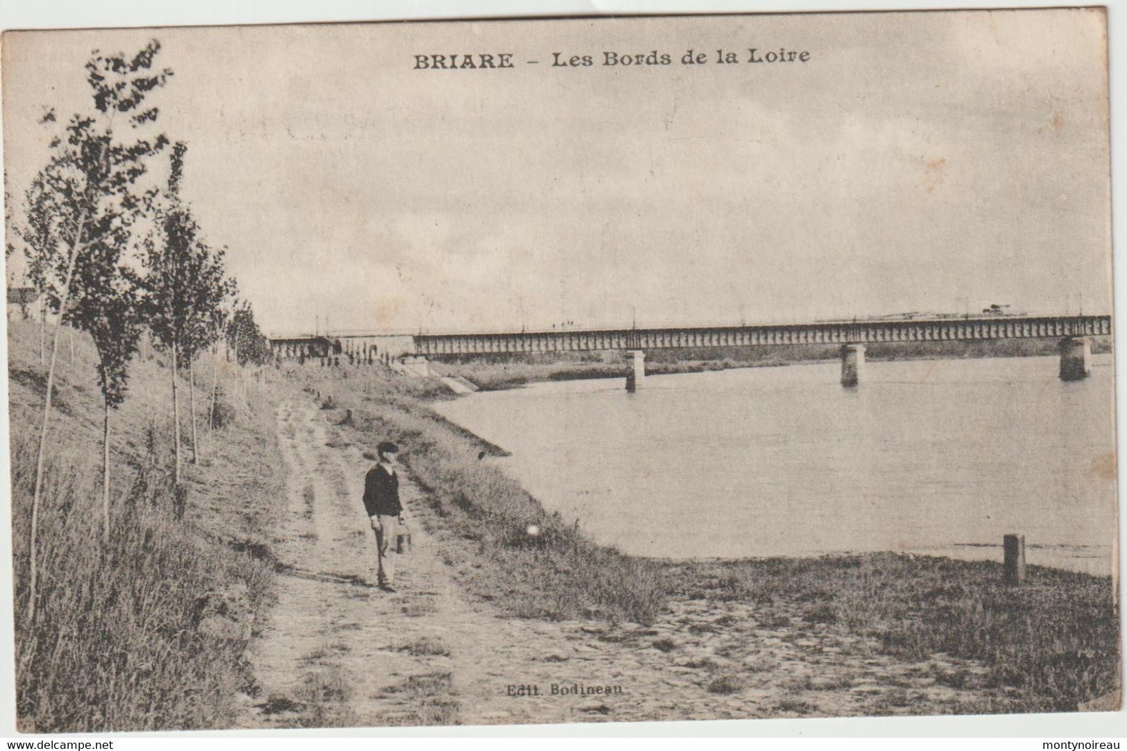 Dav : Loiret :  BRIARE  : Les  Bords    De  La  Loire - Briare