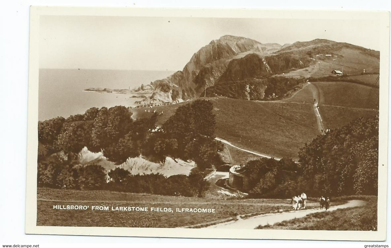 Postcard Devon Ilfracombe Rp Hilsboro From Larkstone Fields Animated National Series - Ilfracombe