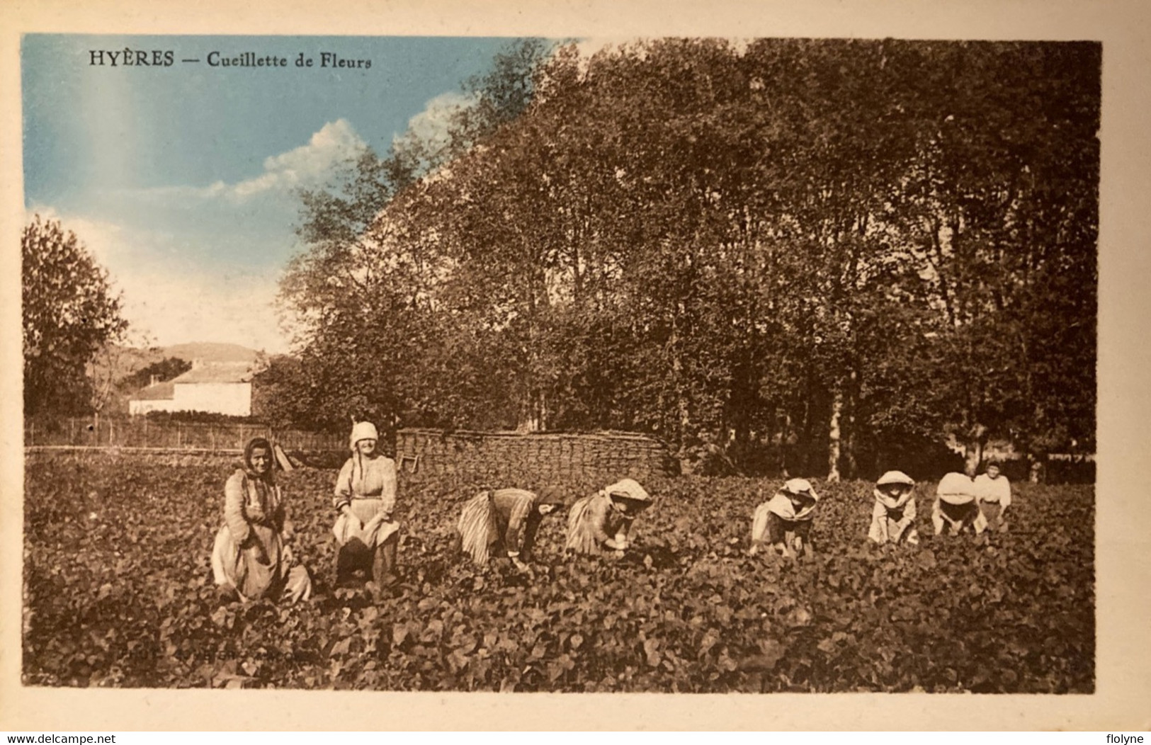 Hyères - La Cueillette Des Fleurs - Cueilleuses - Hyeres