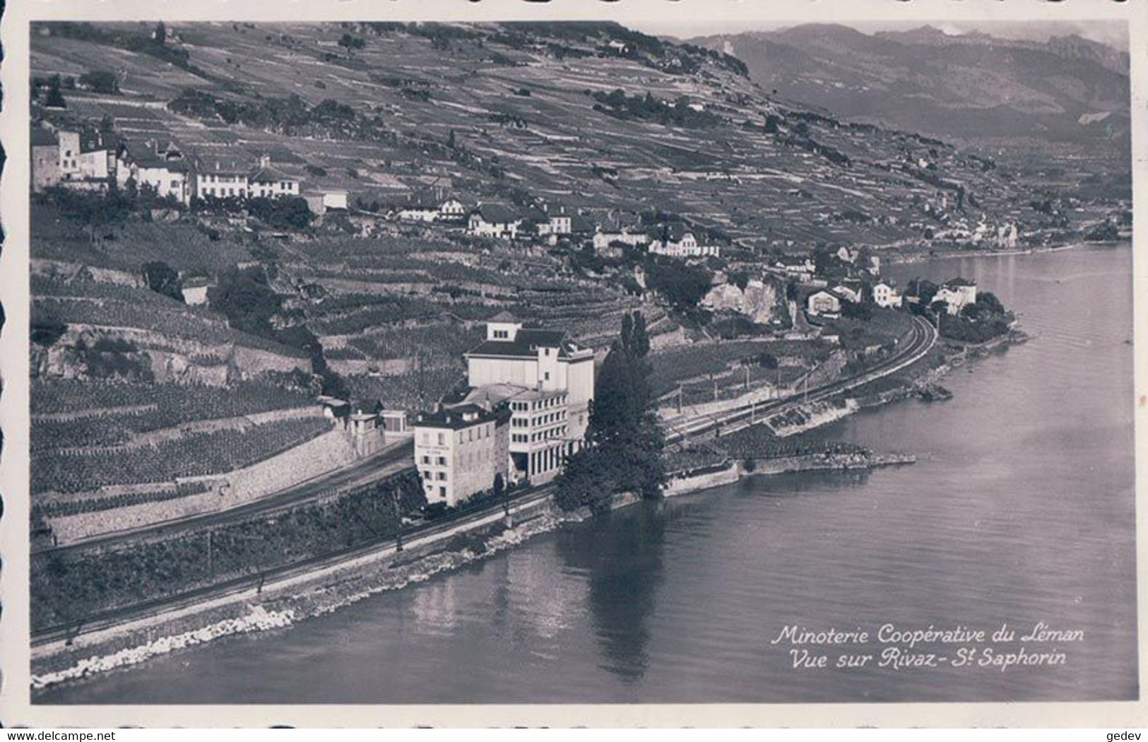 Rivaz Et St Saphorin VD, Minoterie Coopérative Du Léman, Chemin De Fer Et Vignes Du Lavaux (2170) - Saint-Saphorin