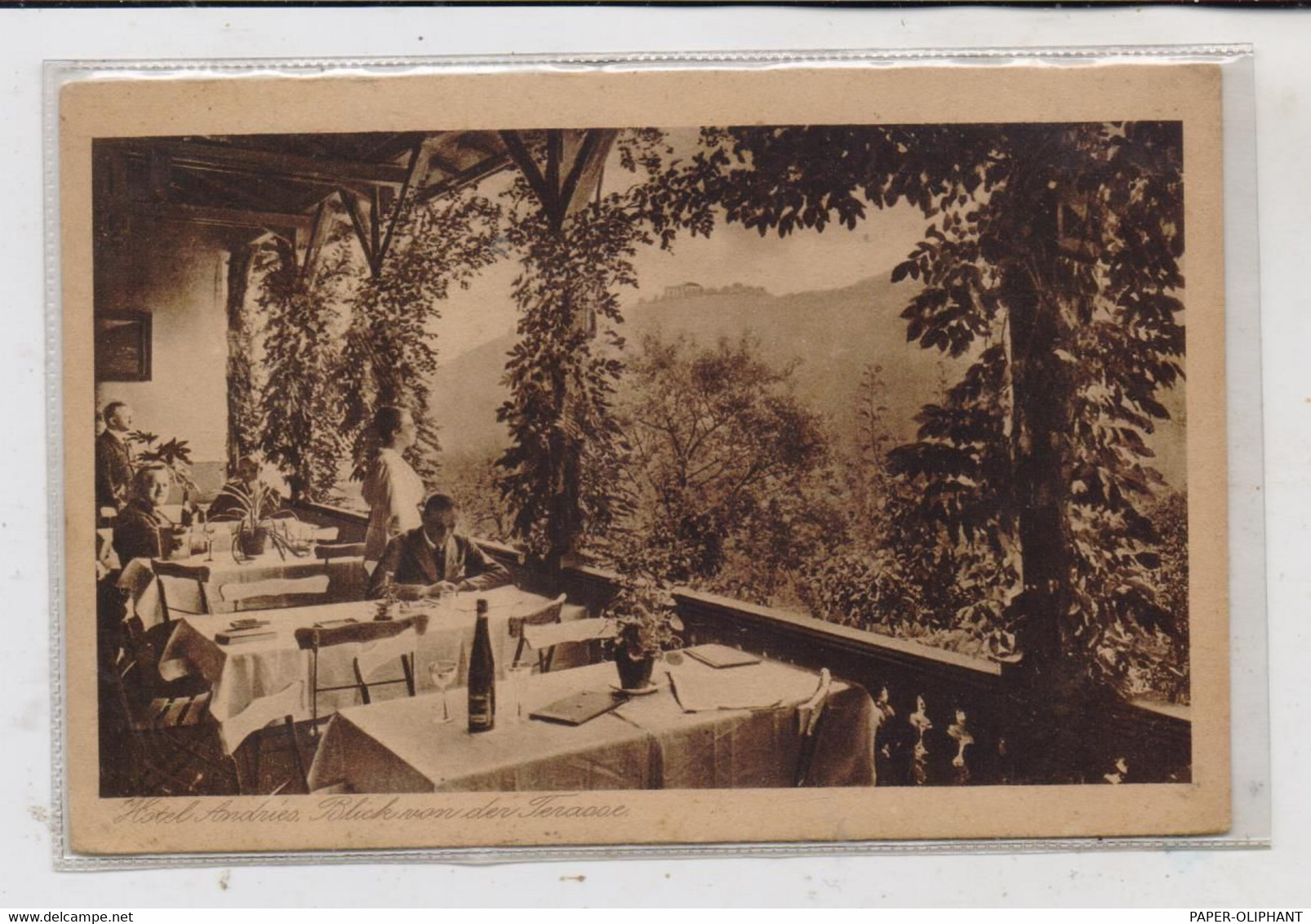 5583 ZELL - BULLAY, Hotel Andries, Blick Von Der Terrasse - Alf-Bullay