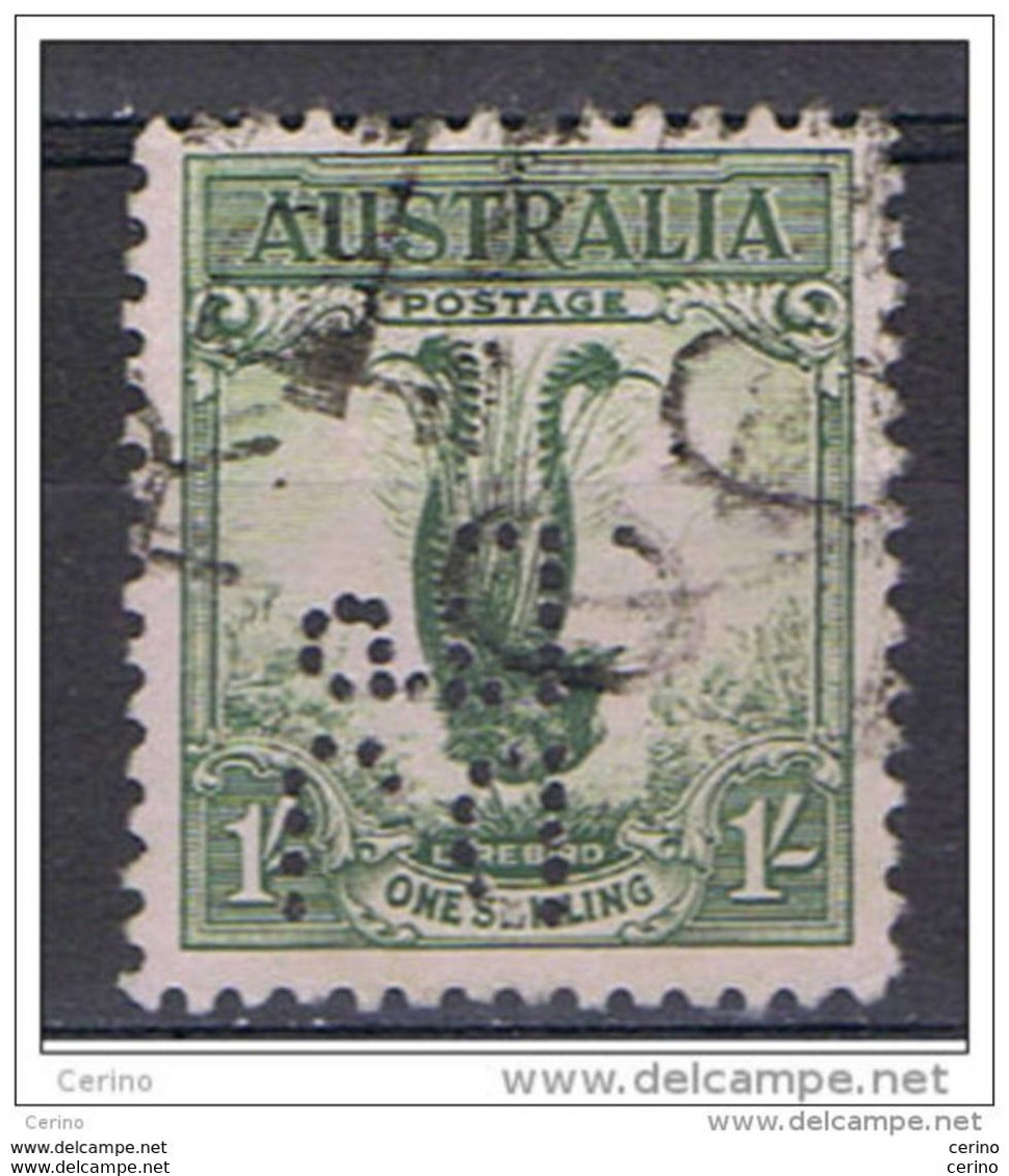 AUSTRALIA:  1932  LYRA  BIRD  -  1 S. USED  STAMP  -  PERFIN  -  YV/TELL. 88 - Perforés