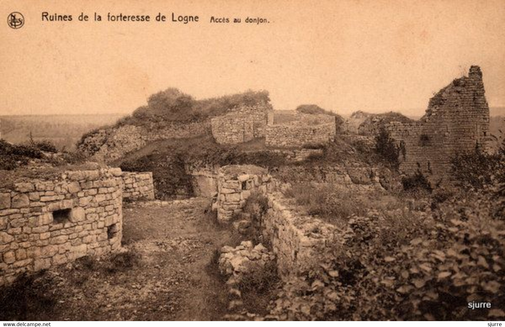 Vieuxville / Ferrières - Ruines De La Forteresse De Logne - Accès Au Donjon - Ferrieres