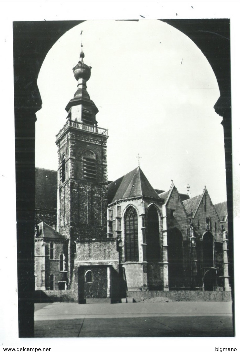 Binche Collégiale St Ursmar - Binche