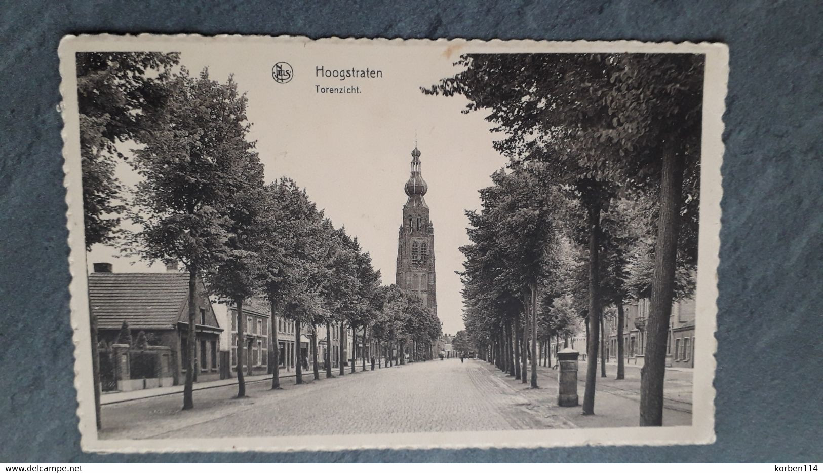 TORENZICHT - Hoogstraten