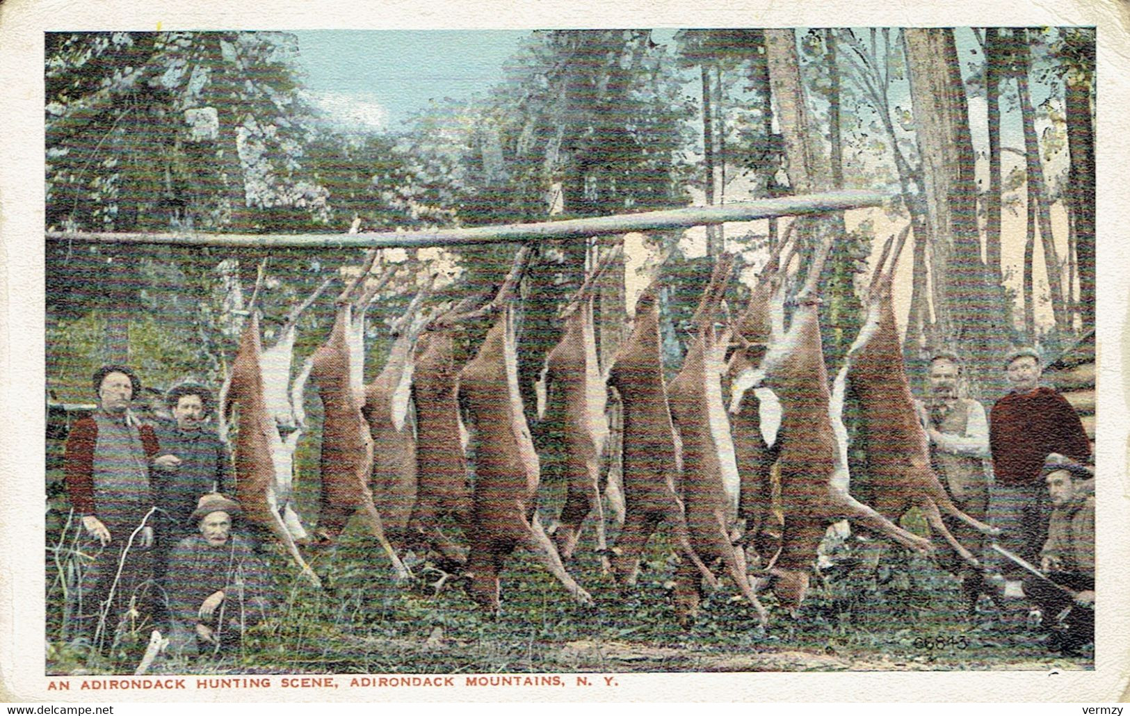 CPA  ADIRONDACK Hunting Scene - Adirondack