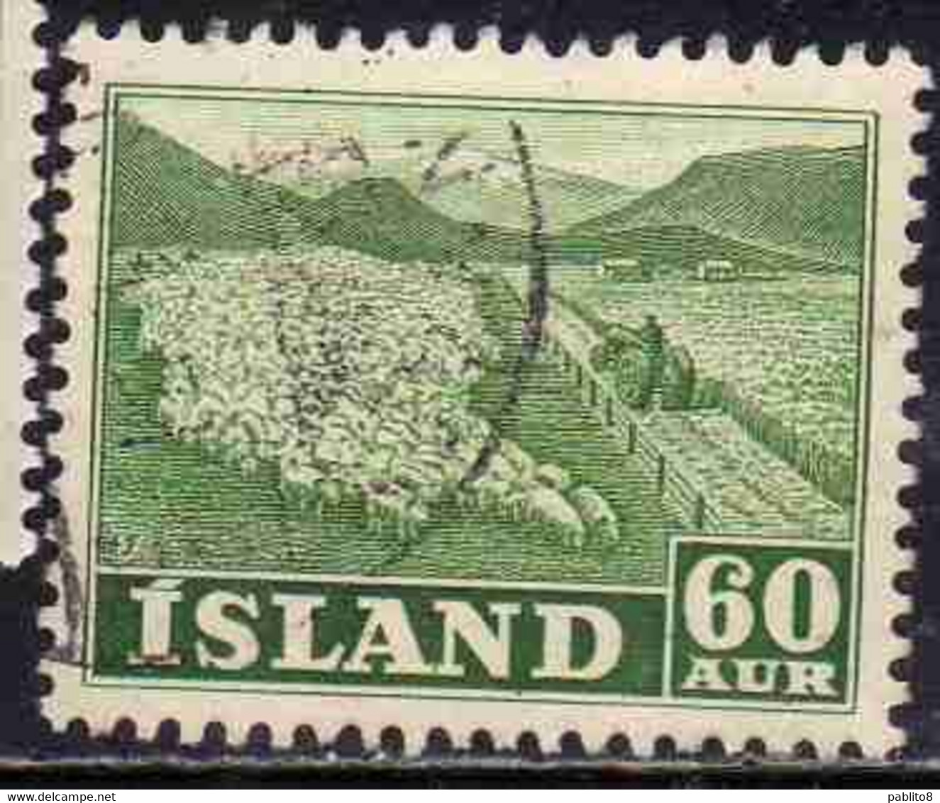 ISLANDA ICELAND ISLANDE 1950 1954 FLOCK OF SHEEP 60a USED USATO OBLITERE' - Gebruikt