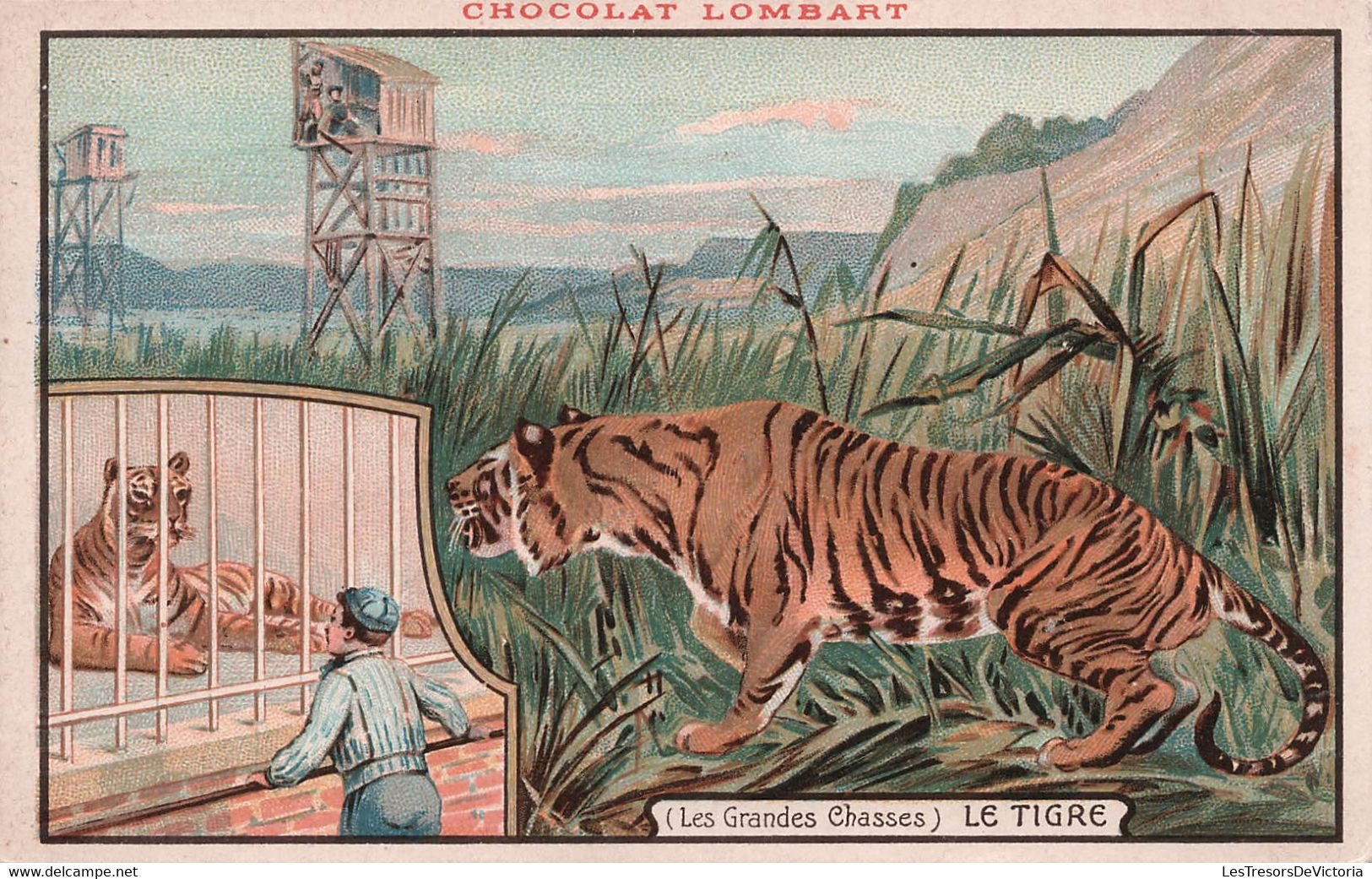 CPA Chocolat Lombart - Les Grandes Chasses - Le Tigre - Carte Publicité - - Publicité