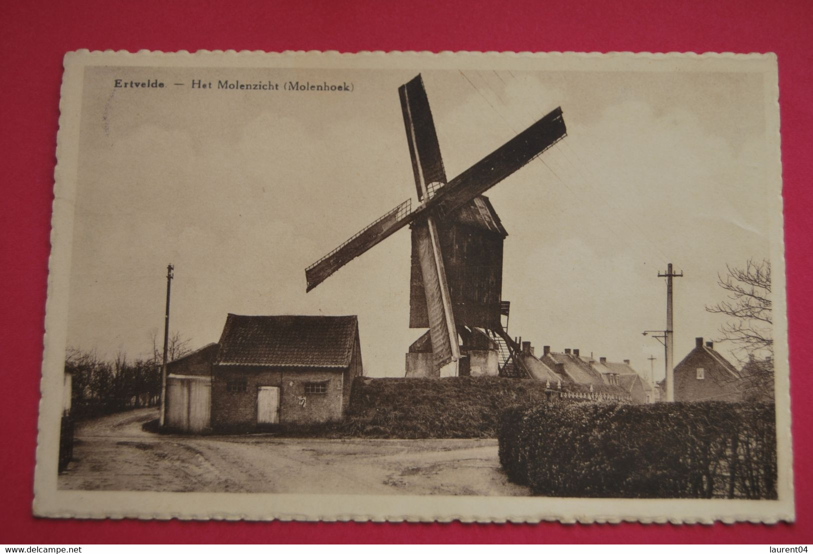 EVERGEM. ERTVELDE. HET MOLENZICHT. MOLENHOEK. MOLEN. MOULIN - Evergem