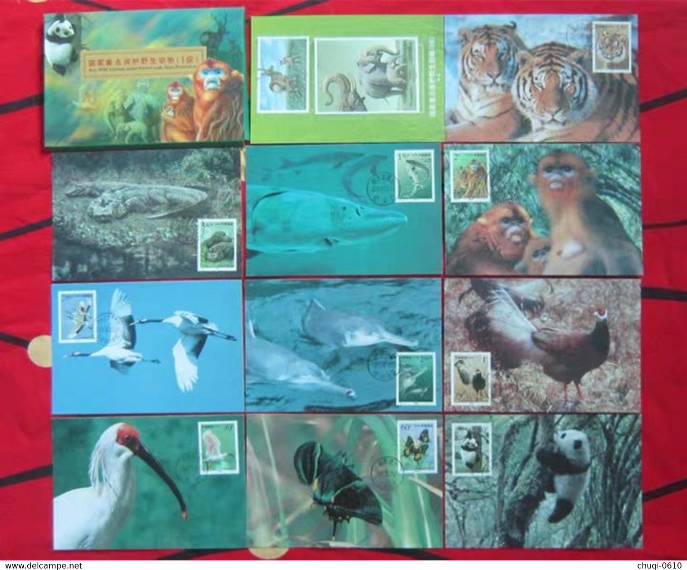 China Maximum Card，2000-3 National Key Protected Wild Animals (I)，10 Pcs - Cartes-maximum