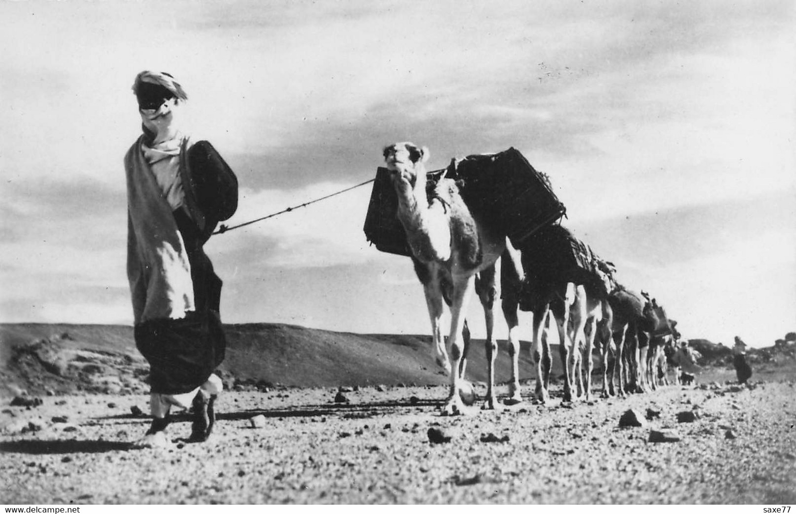 SAHARA -Touaregs Et Colonne De Chameaux - Carte Photo - Westelijke Sahara