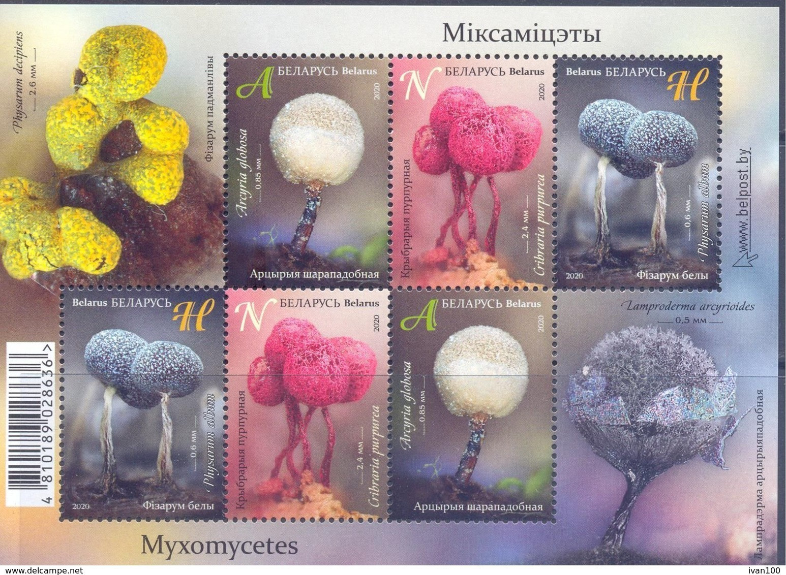 2020. Belarus, Myxomycetes, S/s, Mint/** - Bielorrusia