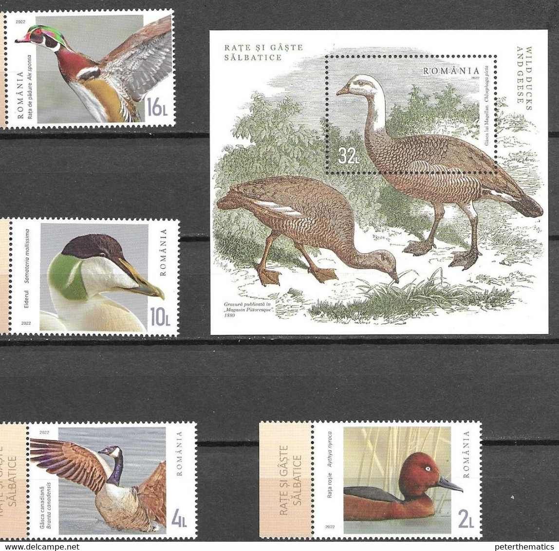 ROMANIA, 2022, MNH, BIRDS, DUCKS, GEESE, 4v+S/SHEET - Gänsevögel