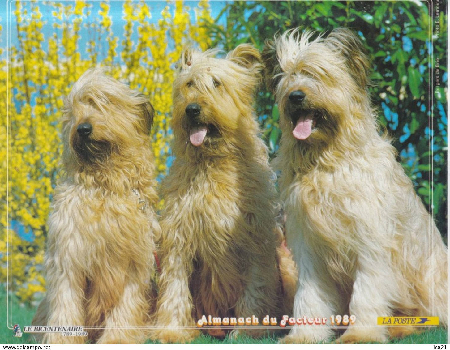 Calendrier De La Poste, Almanach Du Facteur : 1989, HAUTE-SAÔNE, Chatons, Chiots. Le Bicentenaire 1789-1989 - Grand Format : 1981-90