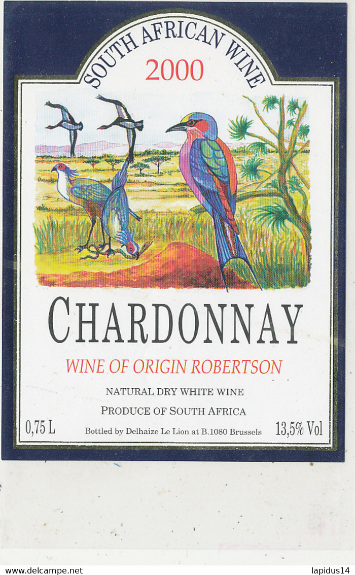 AN 1955  / ETIQUETTE  SOUTH AFRICAN WINE 2000 CHARDONNAY - Sud Africa