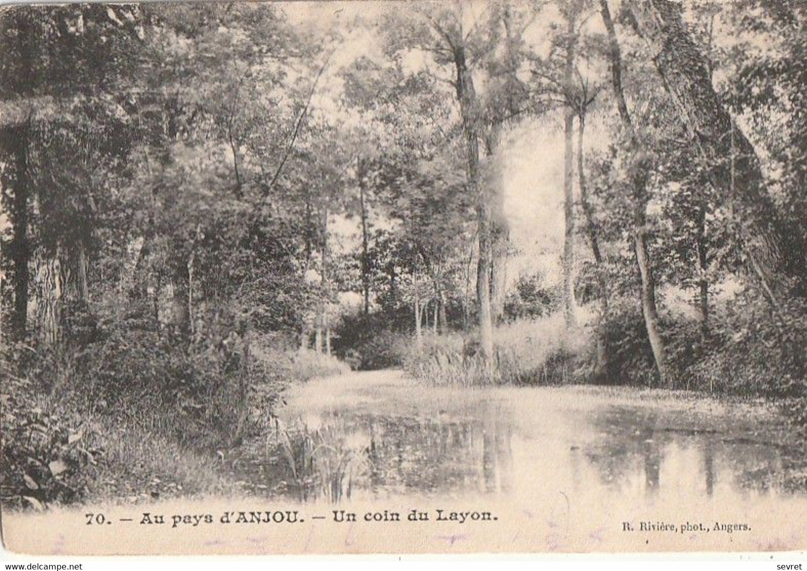 Au Pays D'Anjou. - Un Coin Du Layon - Other & Unclassified