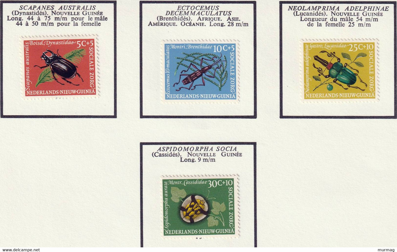 NOUVELLE GUINEE NEERLANDAISE - Faune, Insectes - Y&T N° 13-16 - 1961 - MH - Niederländisch-Neuguinea