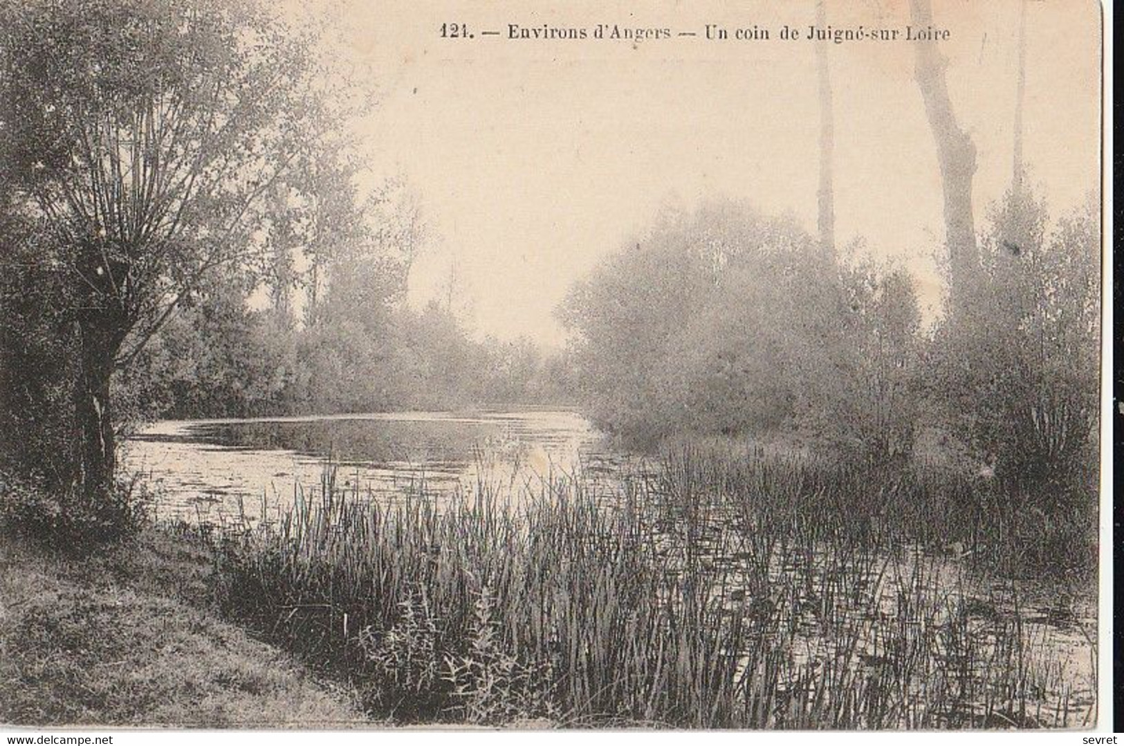 JUIGNE-sur-LOIRE. - Un Coin De Juigné - Other & Unclassified