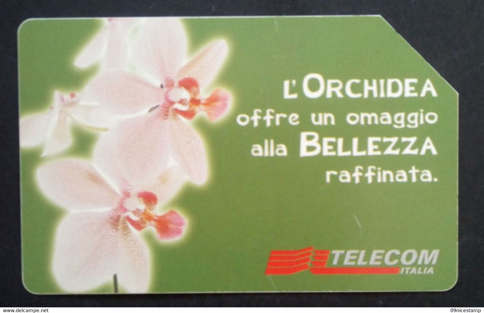 Telephonecard From Italy, Empty And Used (Read Text) - Other & Unclassified