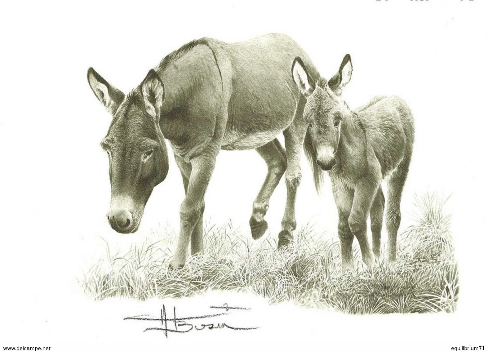 Dessin, Signé/Tekening, Getekend - Une ânesse Et Son ânon / Een Ezel En Haar Veulen - BUZIN - Donkeys