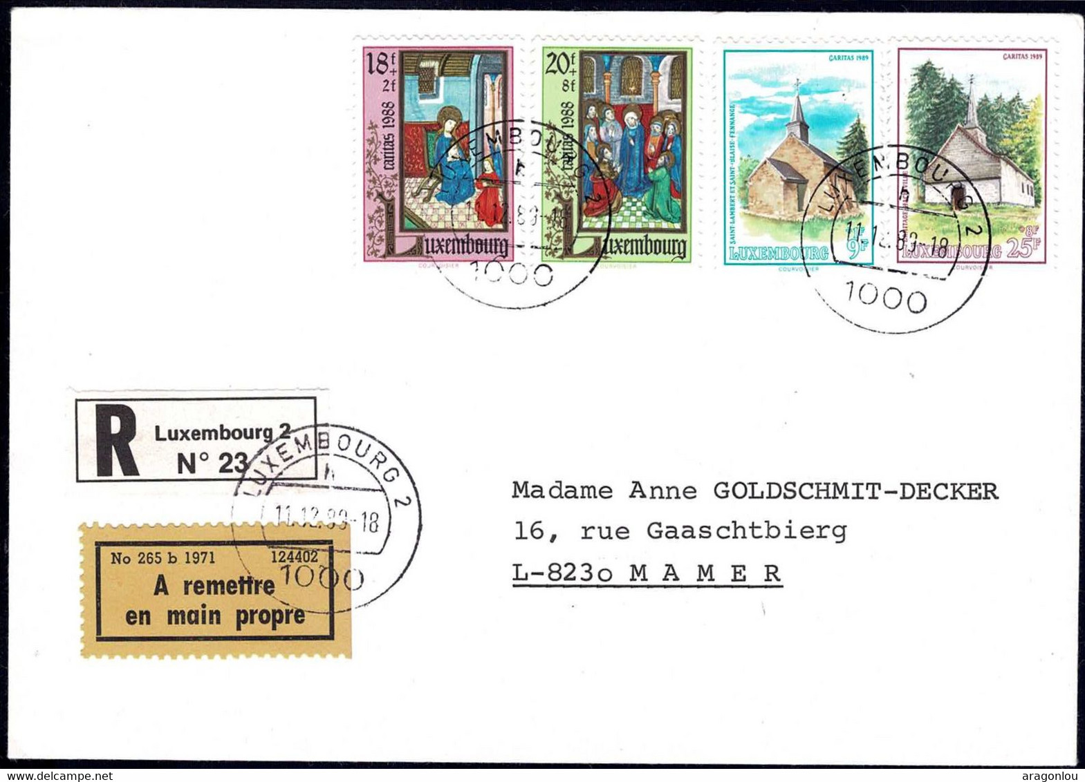 Luxembourg, Luxemburg 1983 Lettre Recommandé Exprès Caritas, Luxembourg-Mamer - Cartas & Documentos