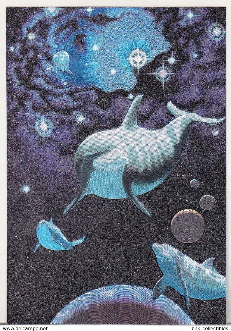 England Dufex Foil Uncirculated Postcard - Dolphins - Star Born (William Schimmel) - Dauphins