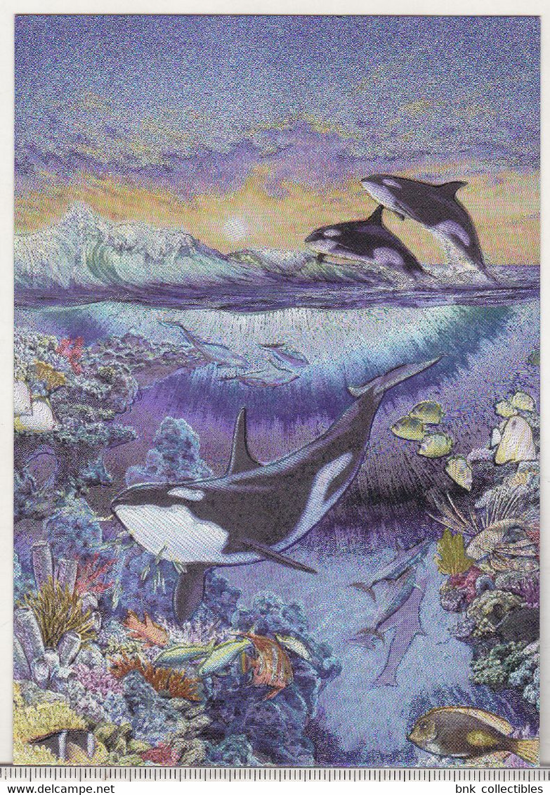 England Dufex Foil Uncirculated Postcard - Dolphins - - The Living Ocean ( Meiklejohn Graphics ) - Dauphins