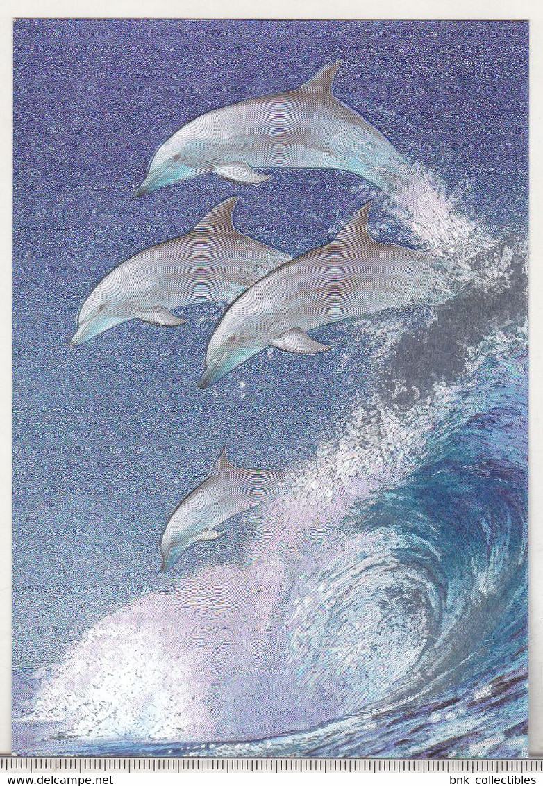 England Dufex Foil Uncirculated Postcard - Dolphins - Out Of The Blue ( Meiklejohn Graphics ) - Dauphins