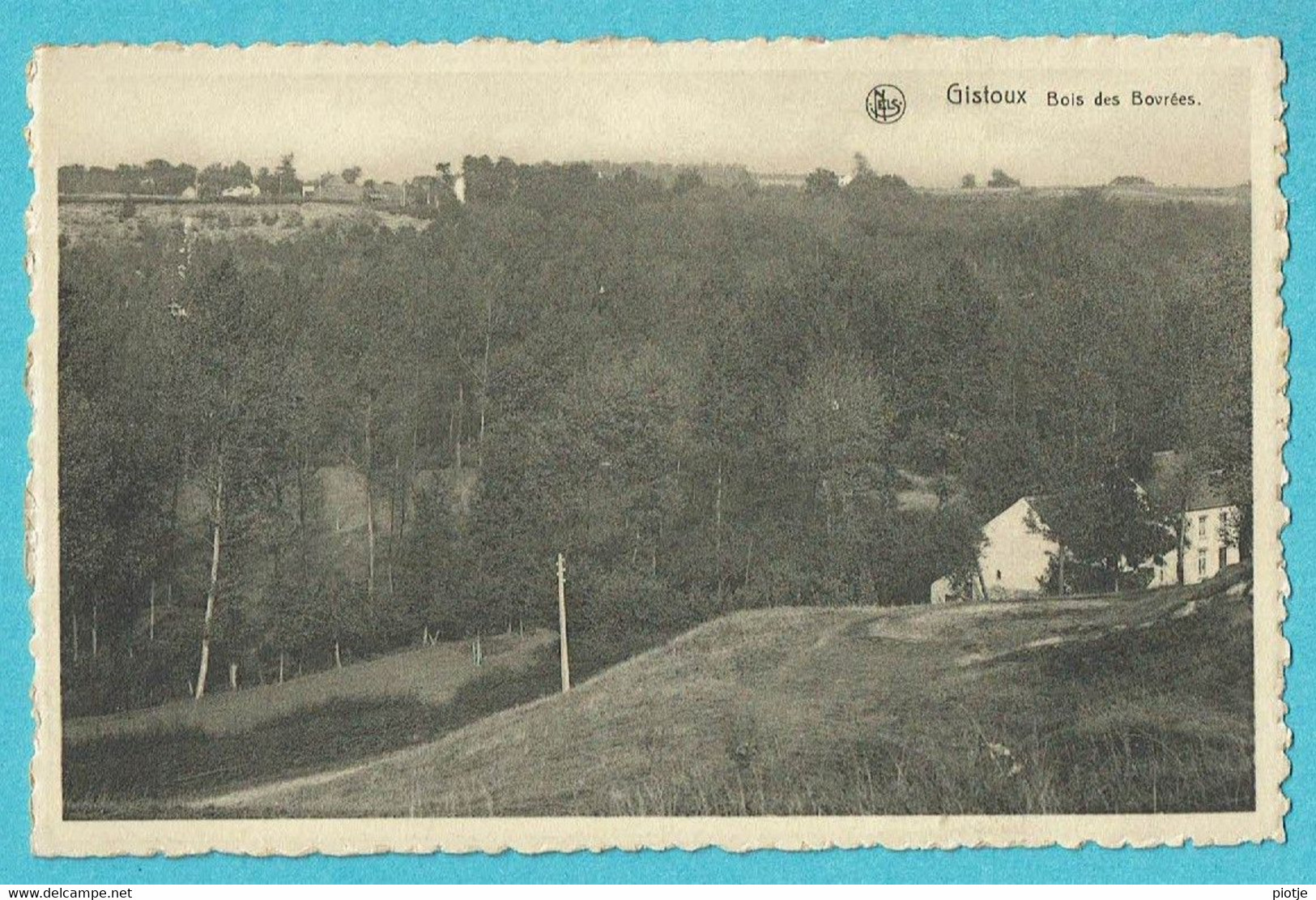 * Gistoux - Chaumont (Brabant Wallon) * (Nels, Edition Dardenne) Bois Des Bovrées, Panorama, Vue Générale, Old - Chaumont-Gistoux
