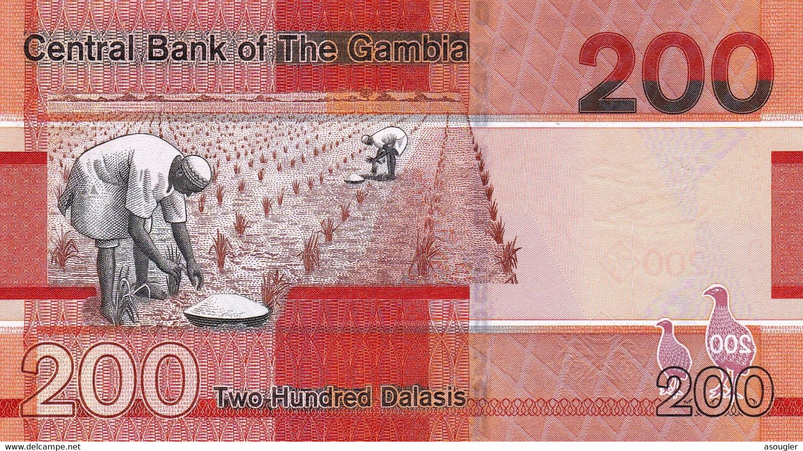 Gambia 200 Dalasis 2019 UNC P-NEW "free Shipping Via Registered Air Mail" - Gambia