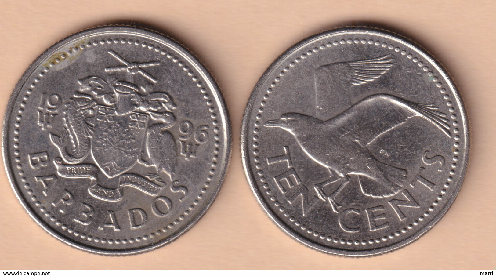 Barbados 10 Cents 1996 Km#12 - Barbades