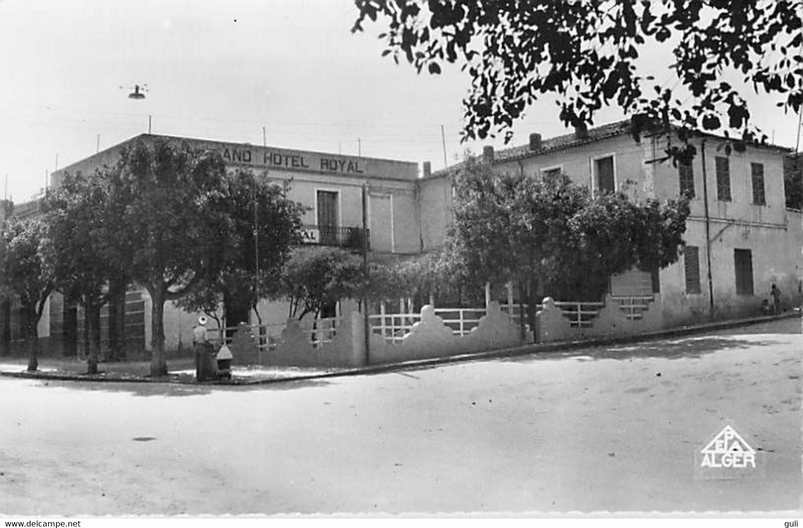 Algérie   GUELMA  Grand Hôtel Royal  ( Edition  Photo Africaines Alger N°17)*PRIX FIXE - Guelma