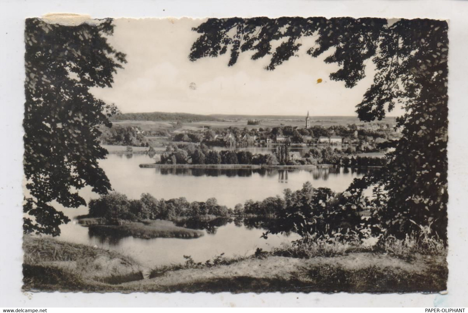 0-2082 FELDBERG, Blick Vom Reiherberg, 1957 - Feldberg