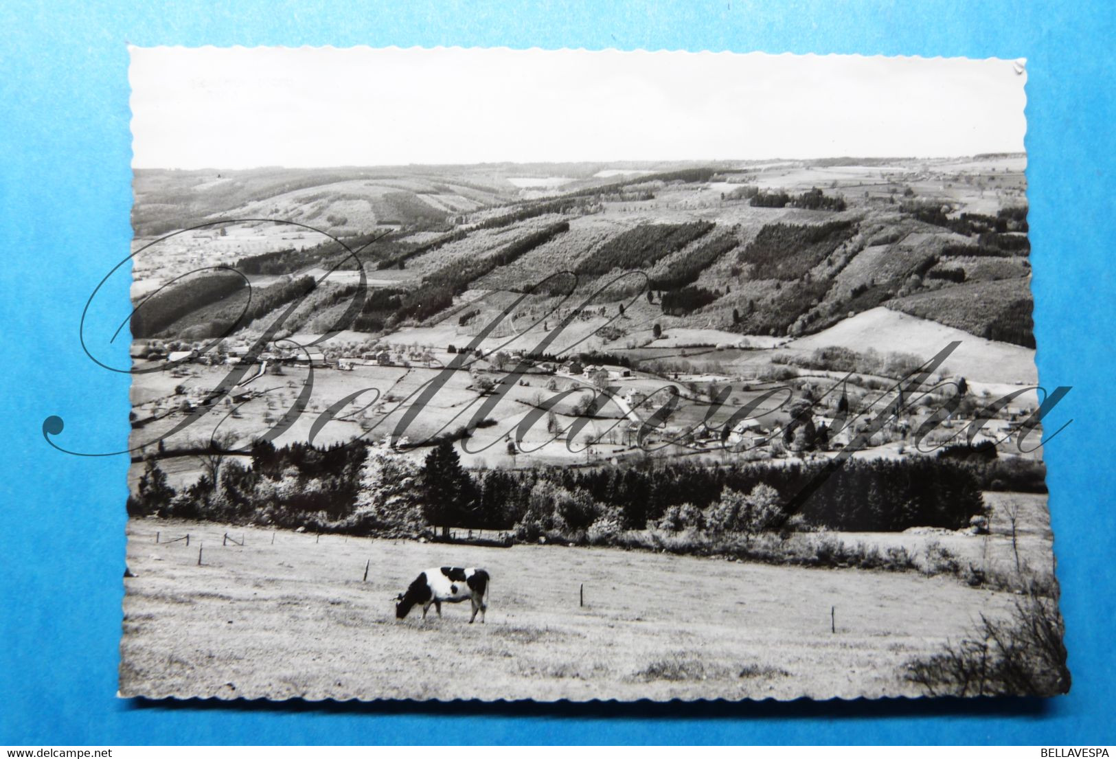 Moulin Du Ruy Et Heilrimont. Panorama. Edit Lander - Stoumont