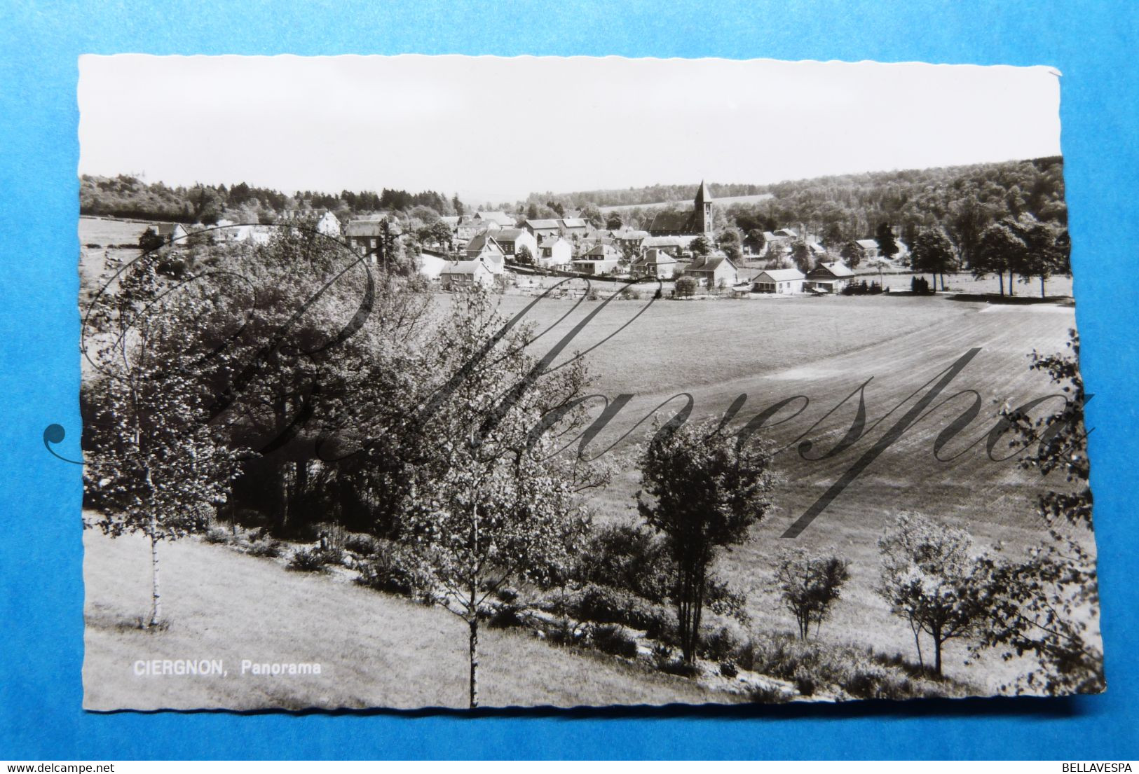 Ciergnon. Houyet. Panorama - Houyet