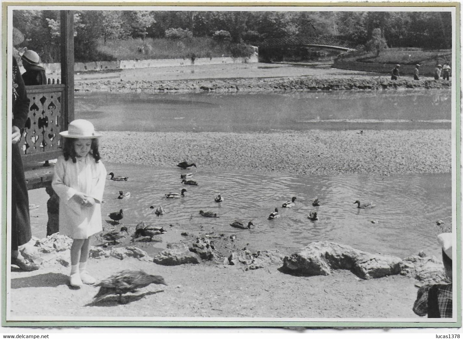 13 / MARSEILLE / PARC BORELY / TRES BELLE ET GRANDE PHOTO ORIGINALE / 1936 / - Parques, Jardines