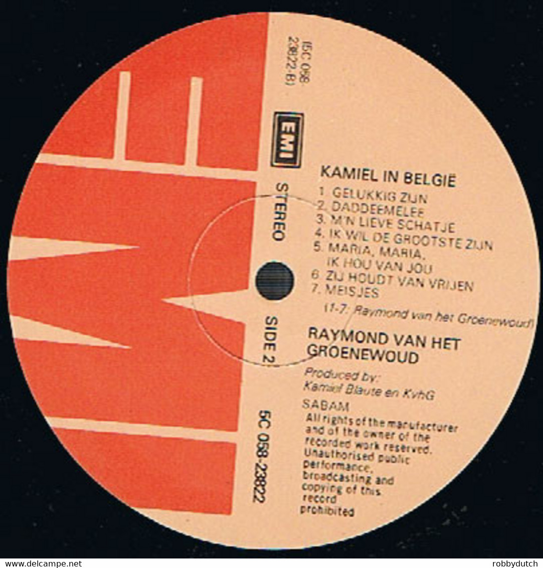* LP *  RAYMOND VAN HET GROENEWOUD - KAMIEL IN BELGIE (Holland 1978 EX-!!) - Andere - Nederlandstalig