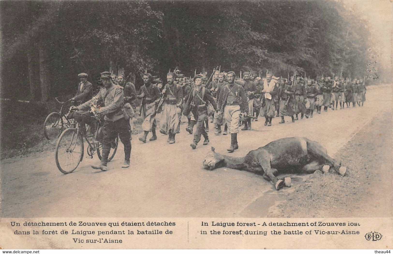 ¤¤  -   VIC-sur-AISNE  -  Un Détachement De Zouaves Qui étaient Dans La Forêt De Laigue Pendant La Bataille      -   ¤¤ - Vic Sur Aisne