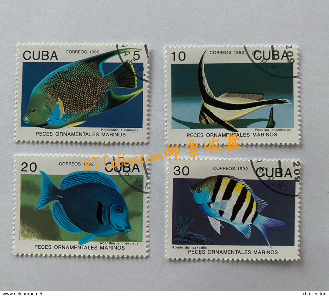 Cuba 1992 Fauna Fish Animal Fishes Animals Fauna Nature Marine Life Holacanthus Isabelita Stamps USED - Gebruikt