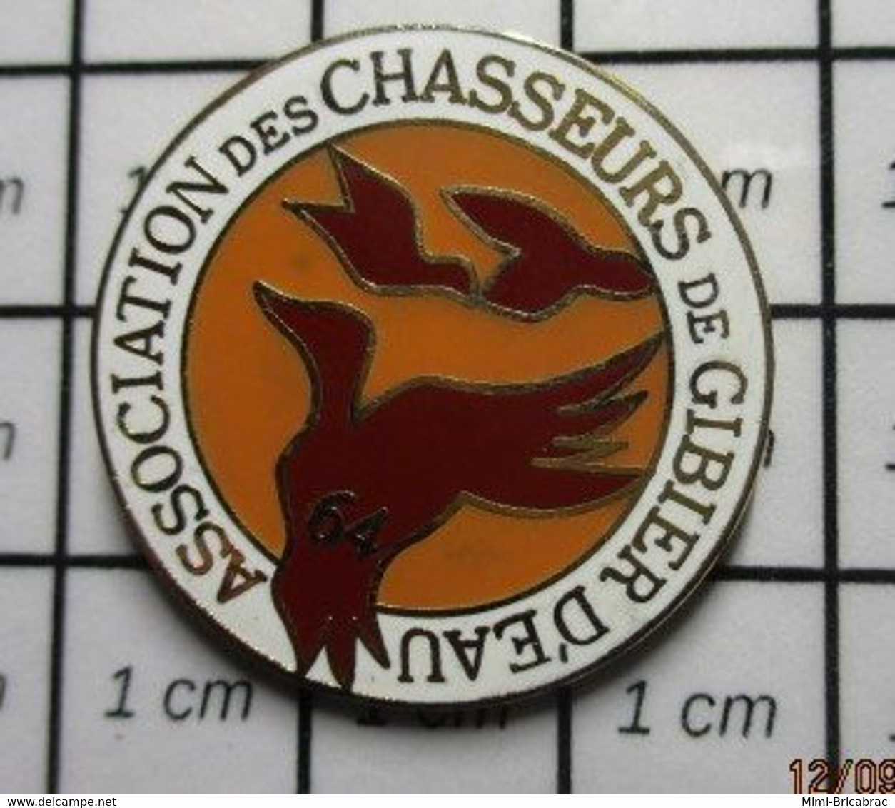 1210 Pin's Pins / Beau Et Rare / THEME : ASSOCIATIONS / CHASSEURS DE GIBIER D'EAU OISEAUX - Associations