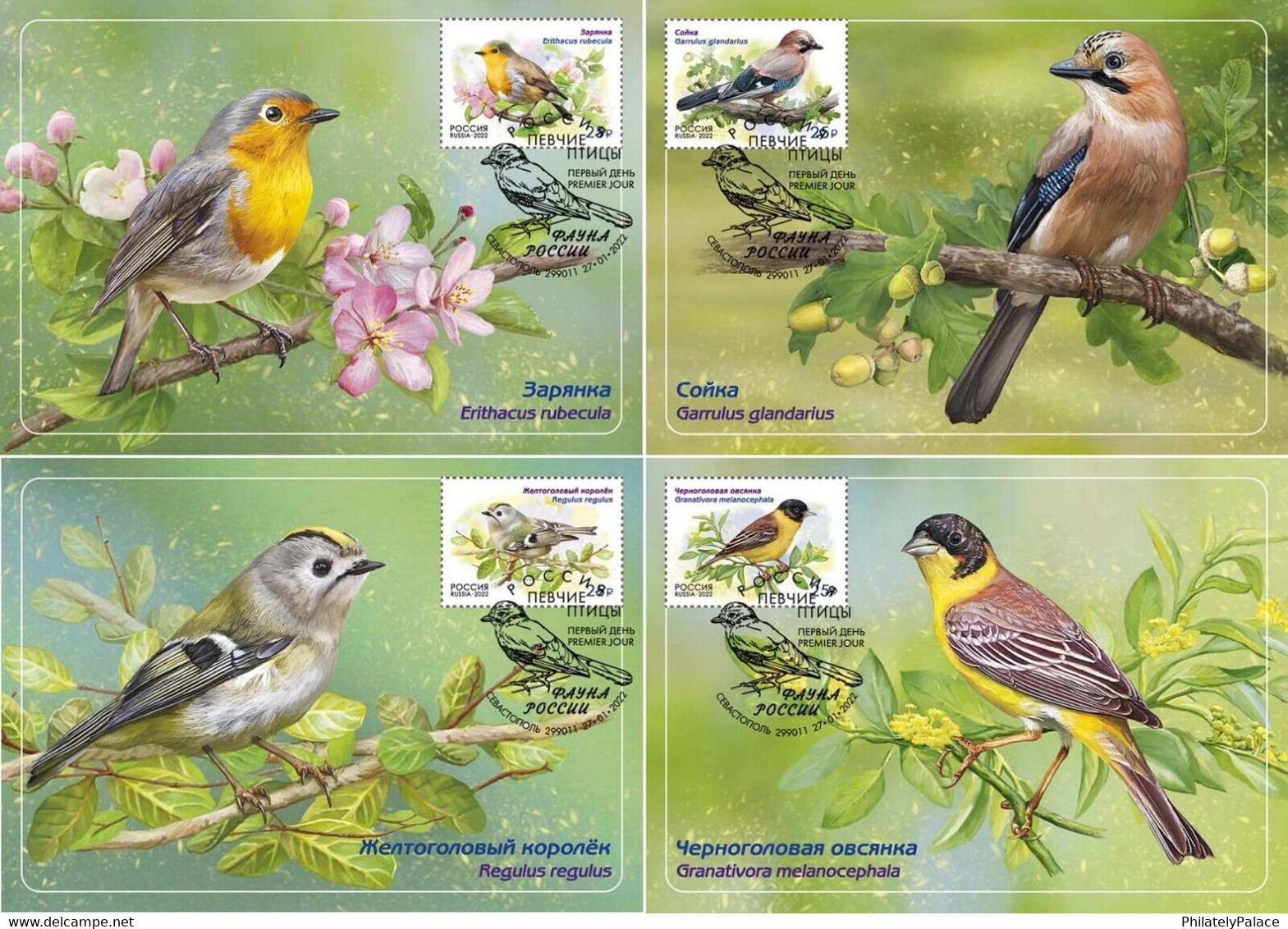 Russia 2022 Fauna Of Russia. Songbirds , Birds, Set Of 4 Maxicards, Maxi Card, Maximum  (**) RARE 1 Set Avaliable Only - Storia Postale