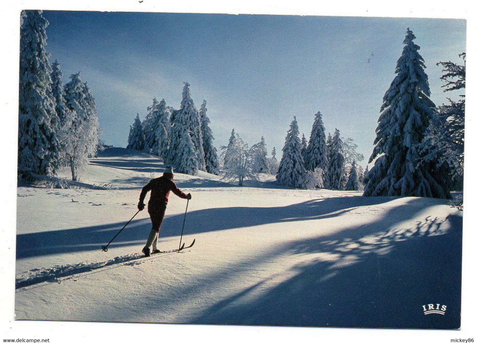 Jura --près Lajoux-39-- Ski Nordique Dans Le Haut-Jura ...........à Saisir.. - Sport Invernali