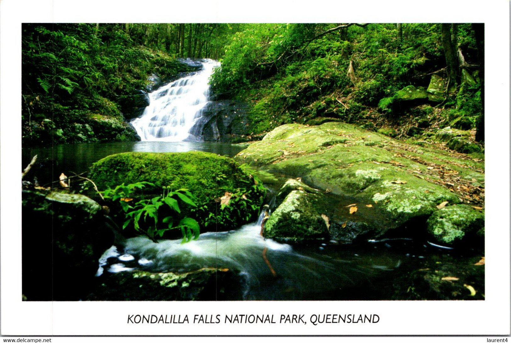 (1 K 14) (OZ) Australia - QLD - Kondalilla Falls - Autres & Non Classés