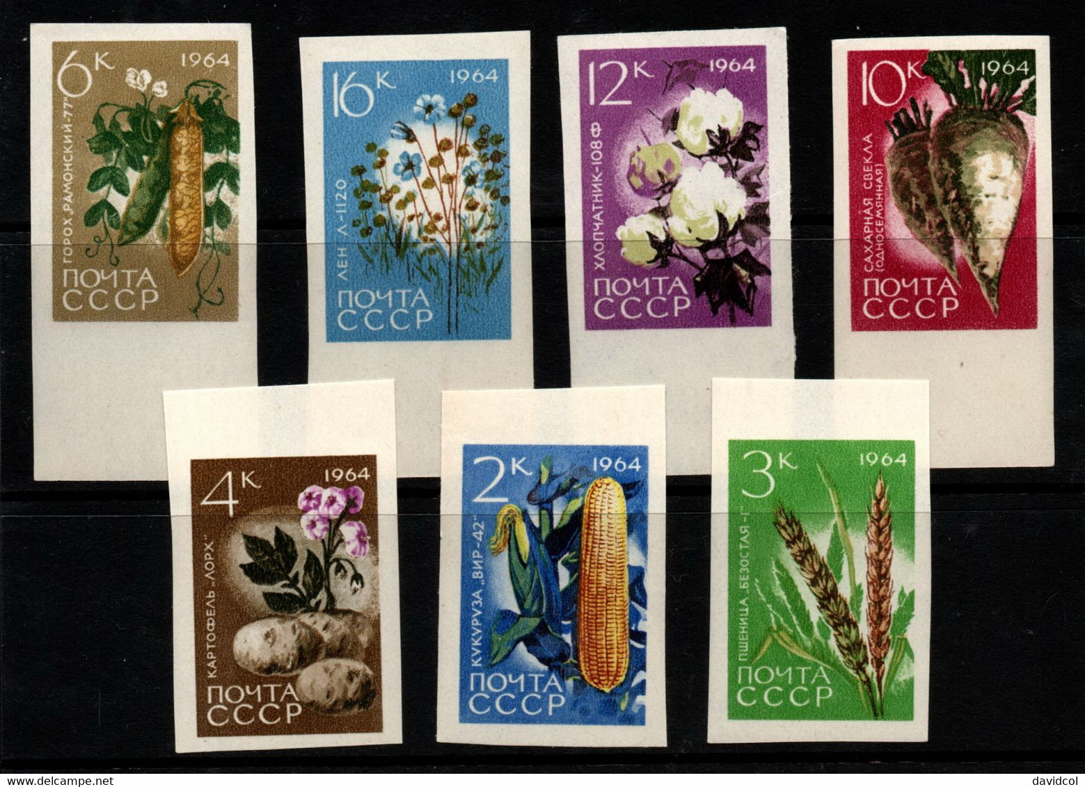 0100- RUSSIA 1964 - SC#: 2913-2919 - MNH - CORN, WEAT,POTATOES, BEANS, BEETS, COTTON, FLAX - Legumbres