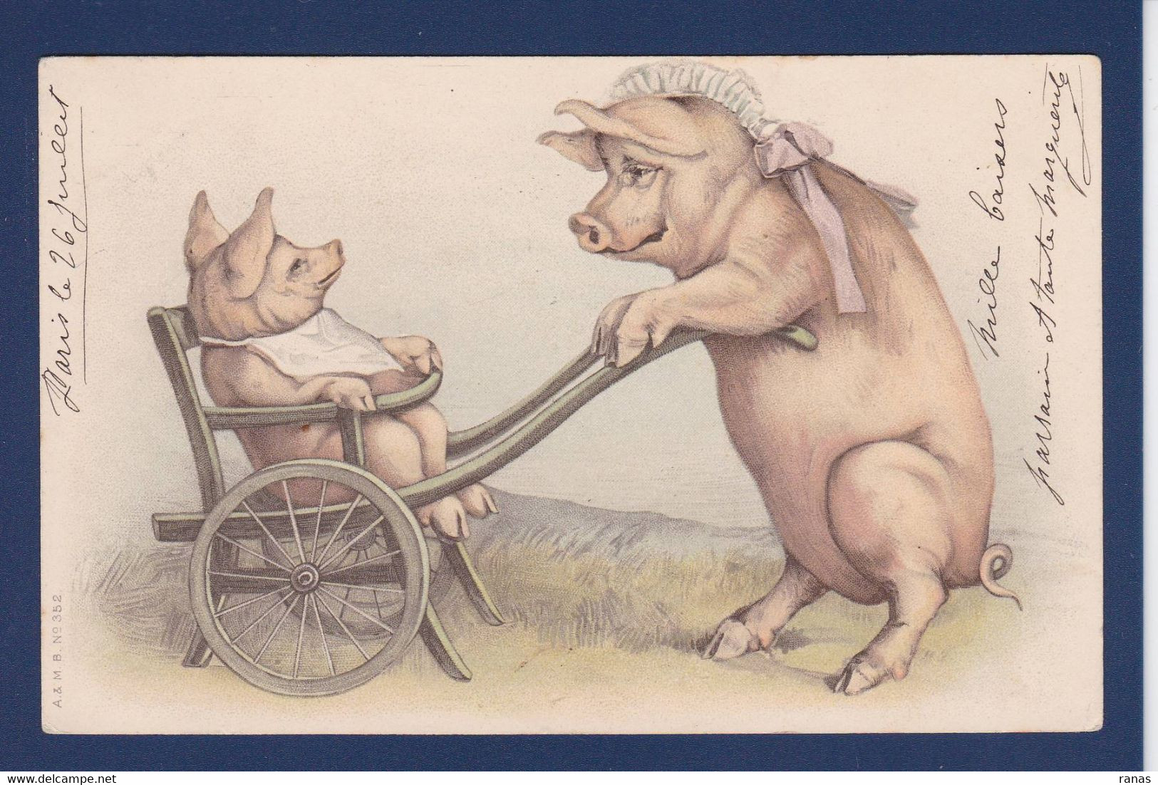 CPA Cochon Pig Circulé Position Humaine - Schweine