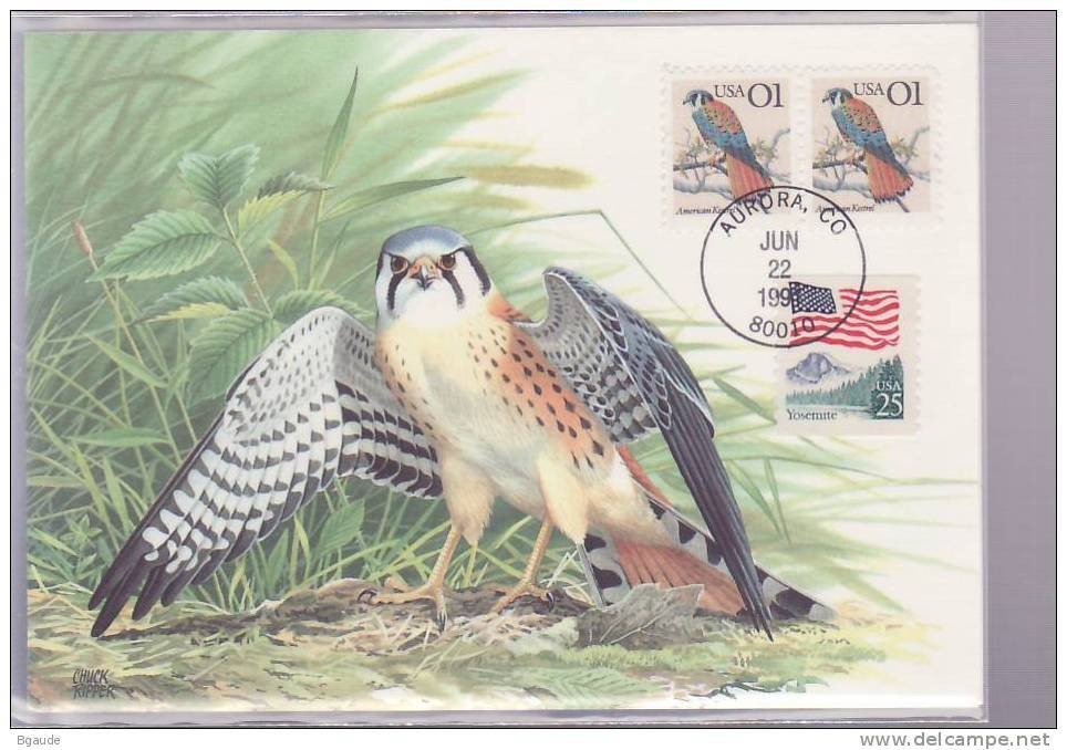 ETATS UNIS CARTE MAXIMUM NUM.YVERT 1952 FAUNE OISEAU RAPACE - Maximum Cards