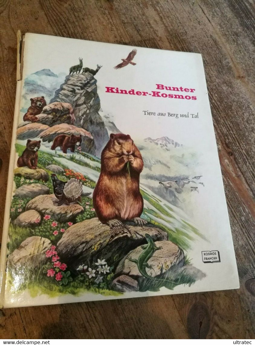 Bunter Kinder Kosmos «Tiere Aus Berg Und Tal» Tolles Antikes Kinderbuch 1976 - Algemene Kennis