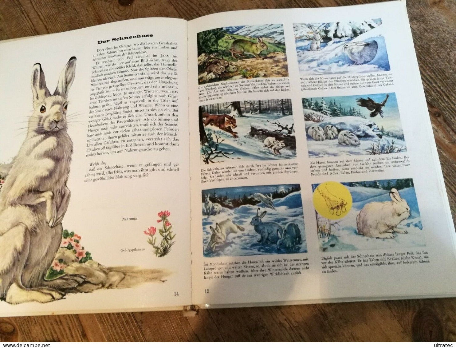 Bunter Kinder Kosmos «Tiere Aus Berg Und Tal» Tolles Antikes Kinderbuch 1976 - Knowledge